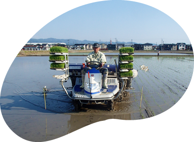 生産へのこだわり写真2