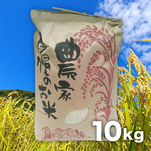 【精米】コシヒカリ 10kg