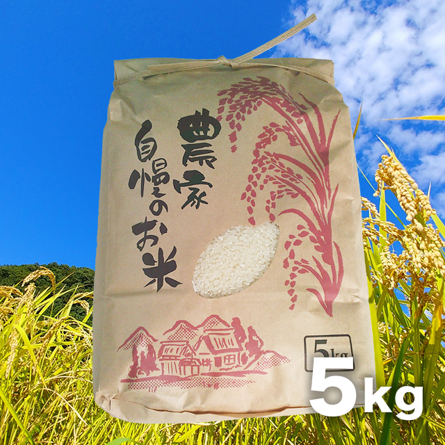 【精米】コシヒカリ 5kg