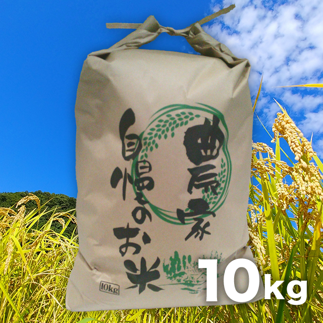 【精米】新之助 10kg